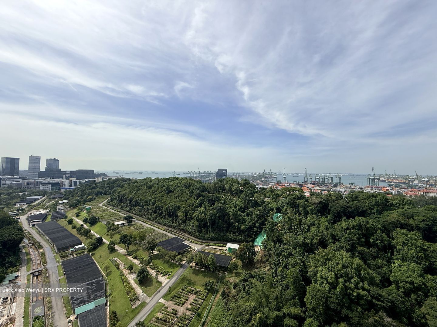 Normanton Park (D5), Apartment #501592821